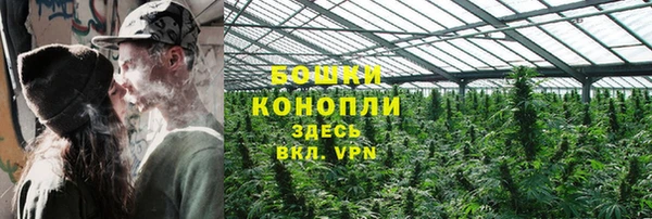 трава Абаза