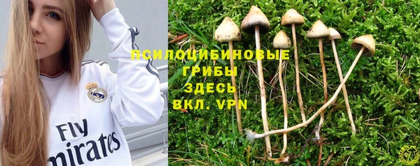 трава Абаза